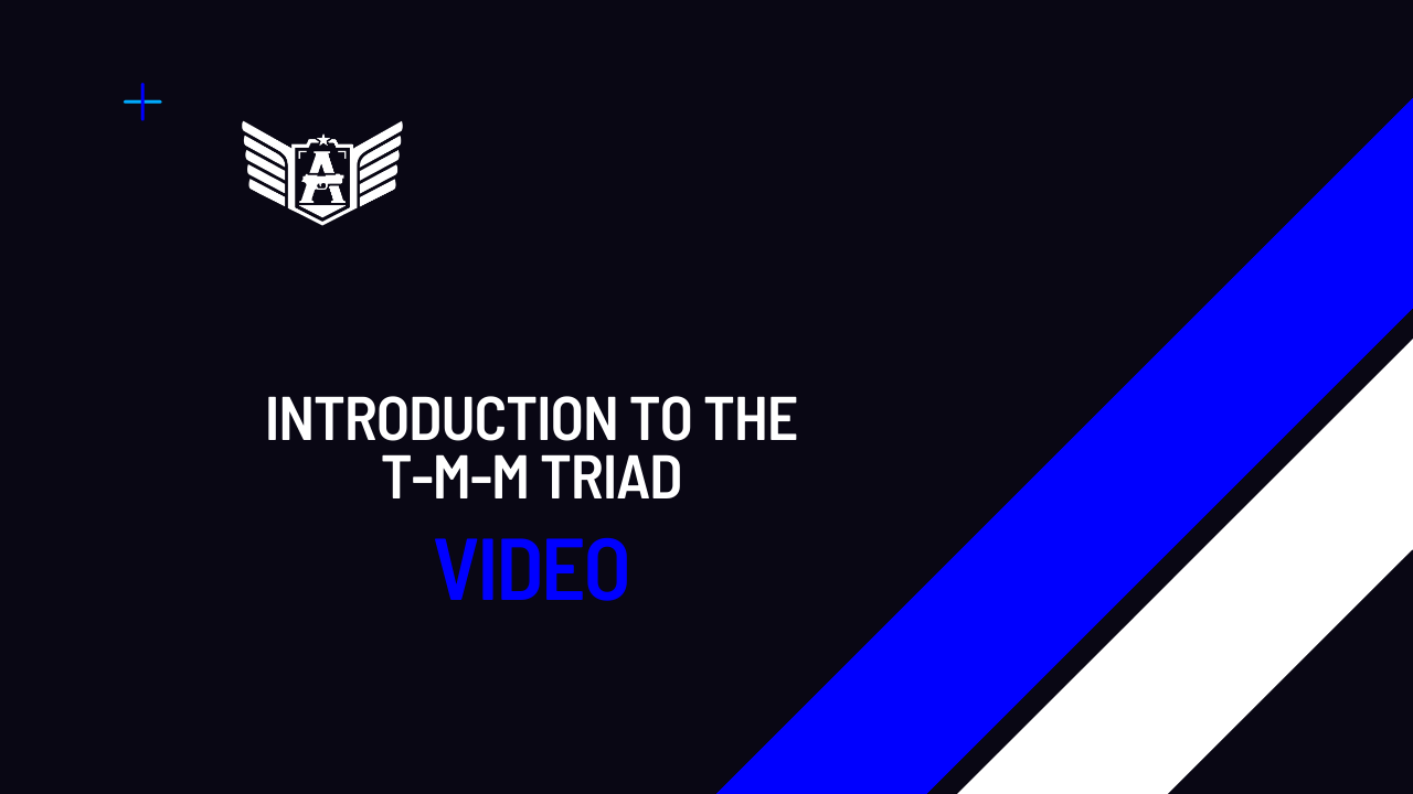 10/2024 – Introduction to the TMM triad